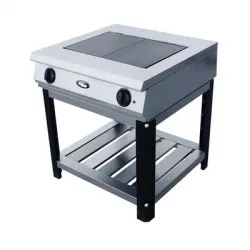 Плита электрическая Grill Master Ф2ЖТЛПЭ – купить в RuOborudovanie.ru с доставкой до двери Купить плита электрическая grill master ф2жтлпэ – цена от завода, доставка до двери | RuOborudovanie.ru