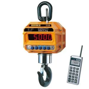 Весы крановые Cas 10 THD TW-100 с пультом ДУ (10т/5кг) – купить по цене завода