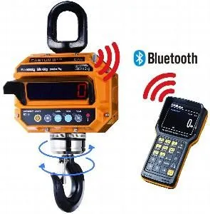 Весы крановые Cas 15 THD TWN (15т/5кг) IP65 электронные – купить по цене завода