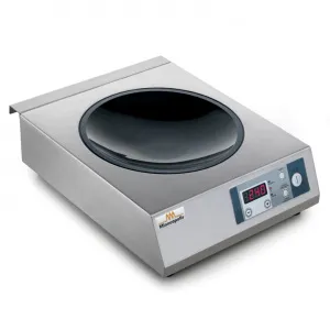 Плита индукционная Minneapolis Ih 35 Wok 3,5 Kw – купить по цене завода