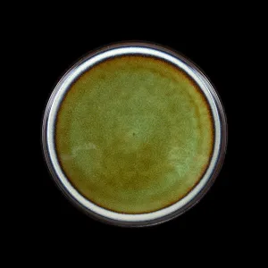 Тарелка мелкая Corone Verde 223 мм синий+зеленый – купить по цене завода