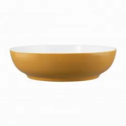 Купить салатник seltmann weiden life amber gold 65015 25 см 001.757423 – цена от завода, доставка до двери | RuOborudovanie.ru