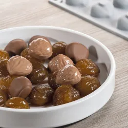 Купить форма силиконовая "gourmand орех каштан" 31х27мм h16мм, 6мл, 24 ячейки gg011s – цена от завода, доставка до двери | RuOborudovanie.ru