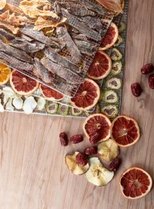 Дегидратор Kocateq DHFD16 для овощей с 16 уровнями 39,6х39,6см (сушилка) – купить по цене завода