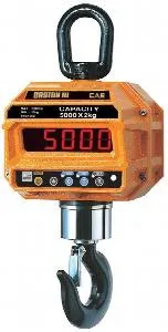 Весы крановые Cas 15 THD TW-100 (15т/5кг) IP65 электронные – купить по цене завода