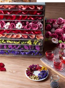 Дегидратор Kocateq DHFD10 для овощей с 10 уровнями 39,6*39,6см (сушилка) – купить по цене завода