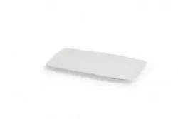 Купить блюдо прямоугольное фарфор tendence 30x18x2см td0an440000 – цена от завода, доставка до двери | RuOborudovanie.ru