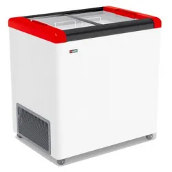 Купить морозильник горизонтальный frostor fg 250 с красный – цена от завода, доставка до двери | RuOborudovanie.ru