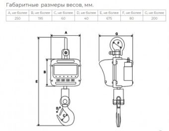Весы крановые Невские весы ВСК-5000В (5 тонн) – купить по цене завода
