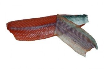 Шкуросъёмная машина для рыбы Nock Cortex CBF 496/7 SALMON TWIN – купить по цене завода
