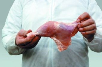 Шкуросъёмная машина Nock Cortex CBP 496 POULTRY – купить по цене завода