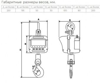 Весы крановые Невские весы ВСК-2000В (2 тонны) – купить по цене завода